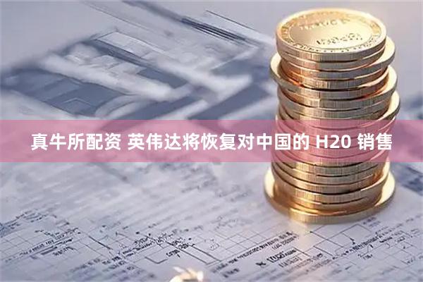真牛所配资 英伟达将恢复对中国的 H20 销售