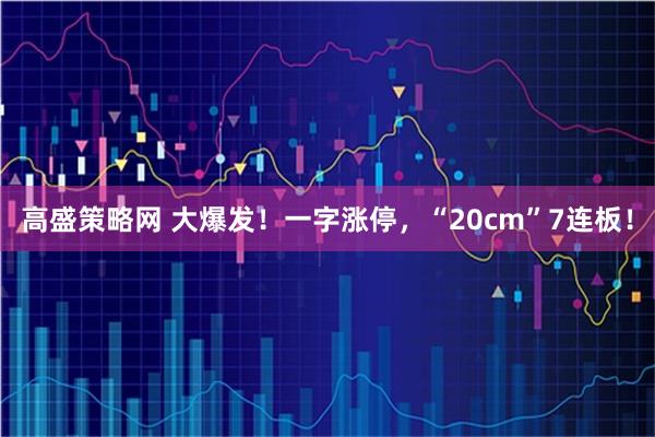 高盛策略网 大爆发！一字涨停，“20cm”7连板！