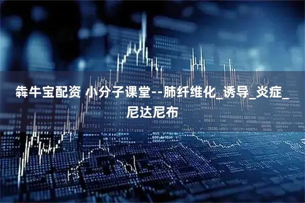 犇牛宝配资 小分子课堂--肺纤维化_诱导_炎症_尼达尼布