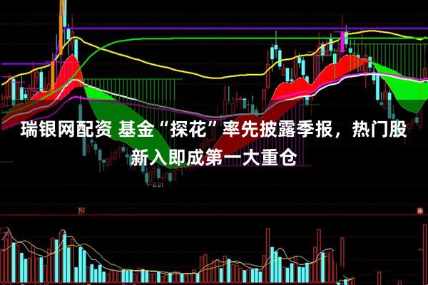 瑞银网配资 基金“探花”率先披露季报，热门股新入即成第一大重仓